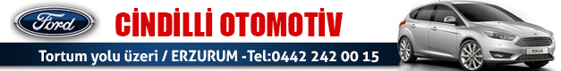 KANAL25