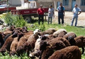 ORKÖY FAALİYETLERİ DEVAM EDİYOR