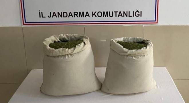 29 kilo esrar ele geçirildi