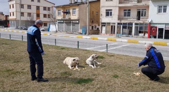 Aşkale Belediyesinden merhamet yaklaşımı