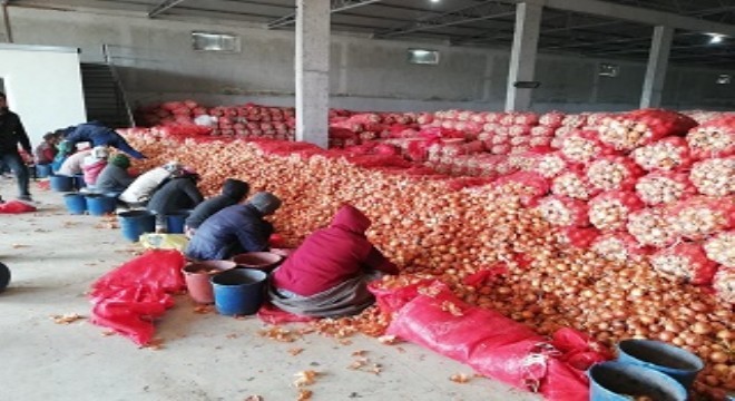 Bakanlık stok soğanın peşinde