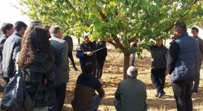 DAP BKİ’den çiftçi eğitimine destek