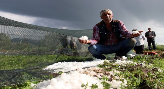 Dolu seraları vurdu