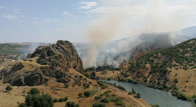 Doğu Anadolu’da 246 hektar alan yandı
