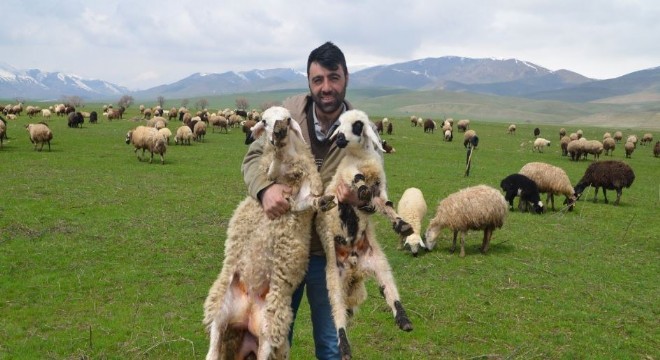 Doğulu Besiciler, çetin kış sonrası meraya indi