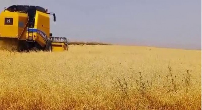 Doğu’da Tarlalardan Sofralara Uzanan Emek