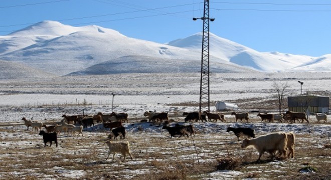 Doğu’da besicilerin kış çilesi