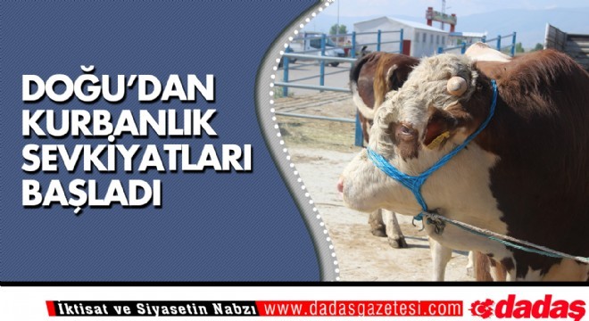 Doğu’dan kurbanlık sevkiyatları başladı