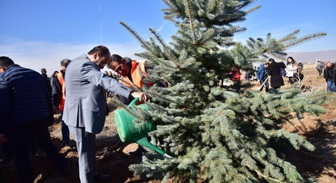 ETÜ’de12 bin ağaç toprakla buluştu