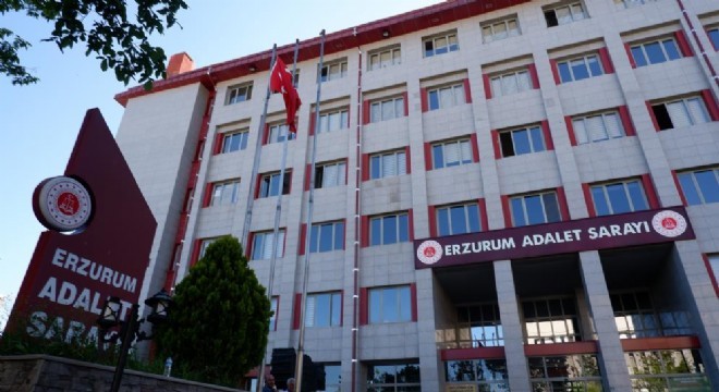 Erzurum Basit Yargılama Usulü verileri açıklandı