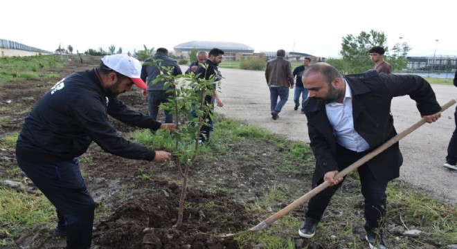 Erzurum GSİM'den Milli Ağaçlandırma Projesi