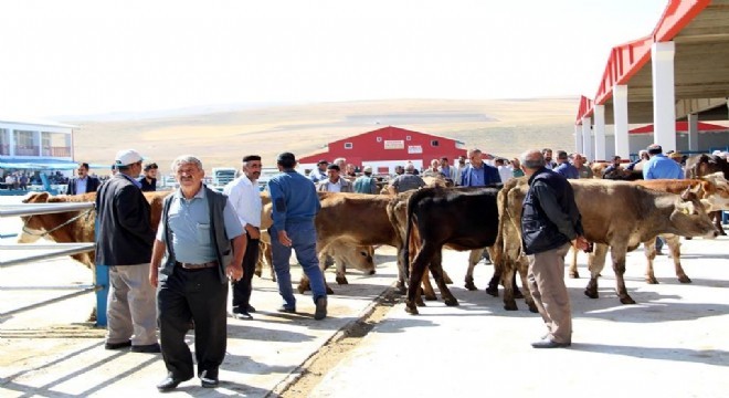 Erzurum kurbanlık verileri açıklandı