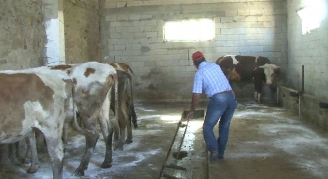 Erzurum’da işsiz kalan eski hükümlüye devlet sahip çıktı