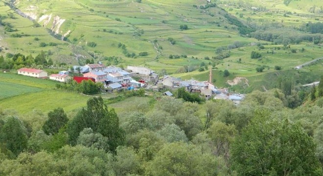 Erzurum’dan uzman çağrıldı