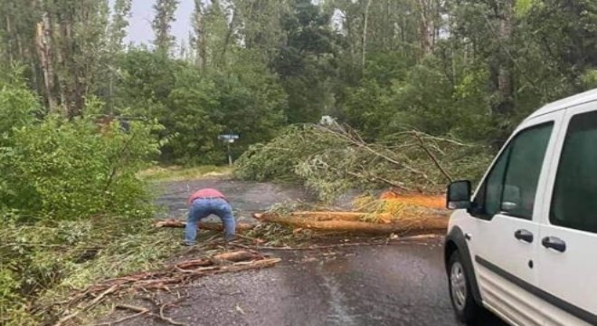 Fırtına onlarca ağacı kökünden söktü