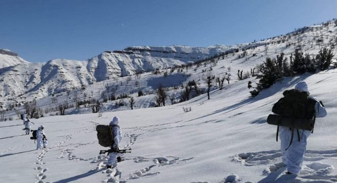 Hainlerin kış üstlenmesine  Eren  darbesi