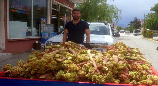 Işkın tezgahlardaki yerini aldı