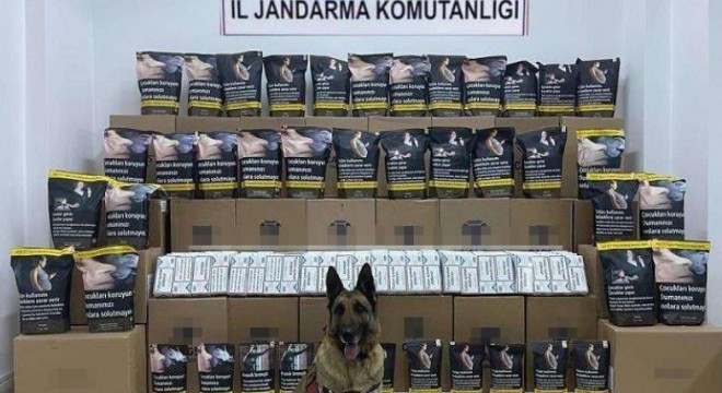 Jandarmadan KADES tanıtımı