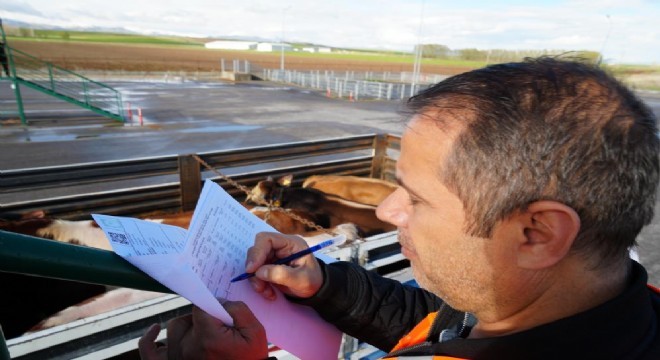 Kurbanlık sevkiyatı denetim altında