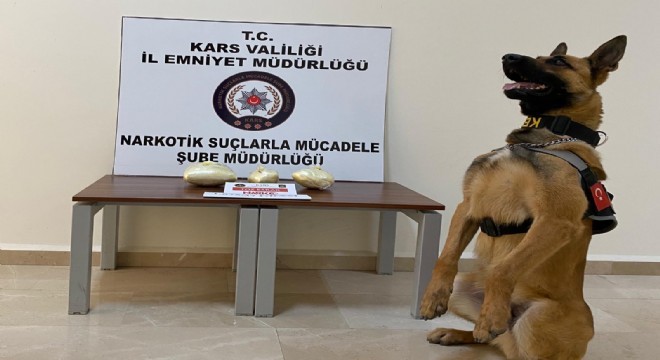 Narkotik köpek Odin uyuşturucuya geçit vermedi