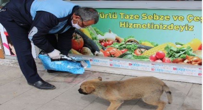 Oltu Zabıta Ekiplerinden örnek yaklaşım