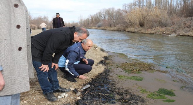 Oltu çayındaki balık ve kuş ölümleri araştırılıyor