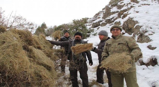 Oltulu Doğaseverlerden yaban hayatına destek