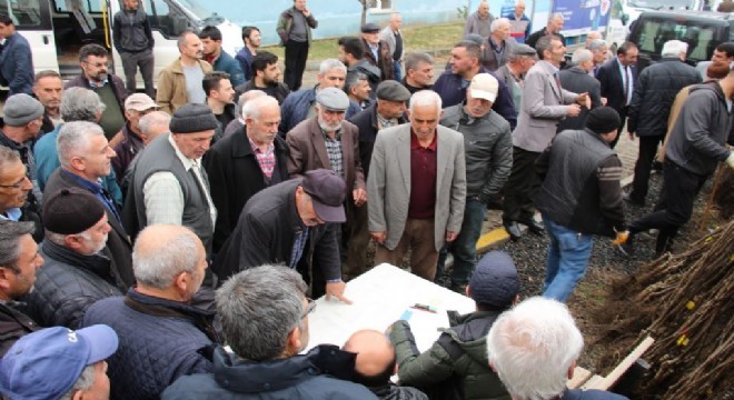 Oltulu çiftçilere 10 bin Ceviz Fidanı dağıtıldı