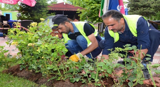 Palandöken Belediyesi ilçeyi renklendirecek