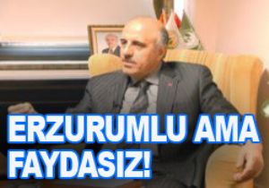 ERZURUM A ZIRNIK YARARI OLMADI!