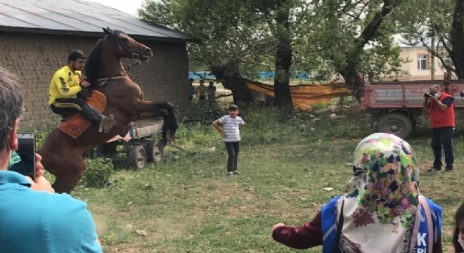 TDED’den “Türkün Kanadı At” programı