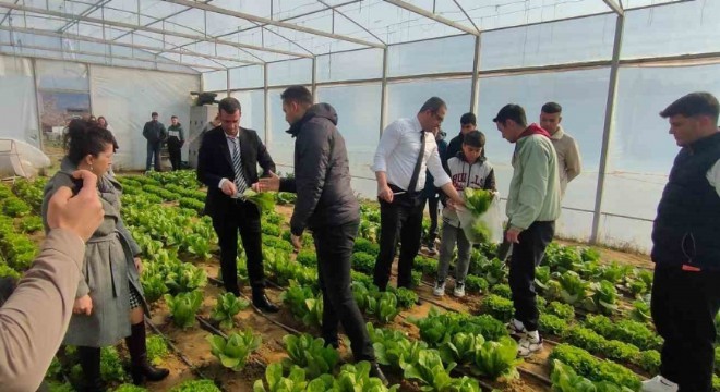 Tarımsal girdi fiyatları yıllık yüzde 31,55 arttı