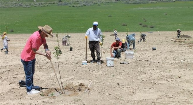 Tekman ve Karaçoban da meyvecilik atılımı