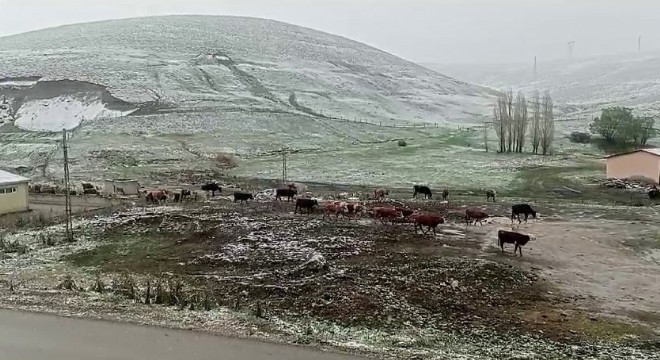 Tekman’da kar yaşamı olumsuz etkiledi