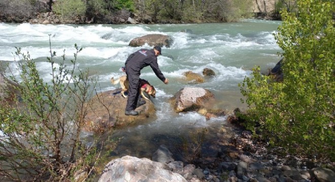 Tunceli Valiliği açıklama yaptı