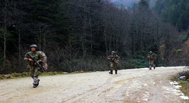 Türk komondosu engel tanımıyor