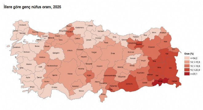 Türkiye nüfusunun yüzde 14,8'ini genç nüfus oluşturdu