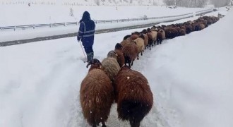 Besicilerin zorlu kış mesaisi