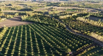 Doğu Anadolu Doğa Harikaları - 42: İrem Bağları