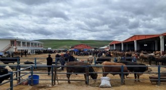 Erzurum’da kurban pazarı hareketlendi