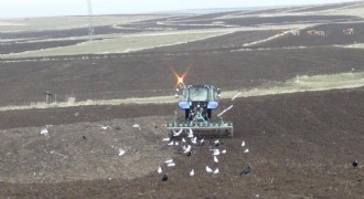 Kış uzadı, ekim gecikti: Çiftçi zamanla yarışıyor
