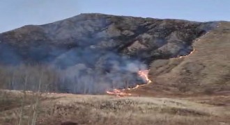 Oltu Süleymanlı'da örtü yangını