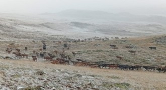 Oltu Yaylalarına kar düştü
