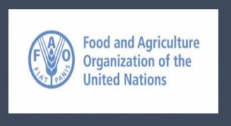 Türkiye FAO Konseyi üyeliğine seçildi