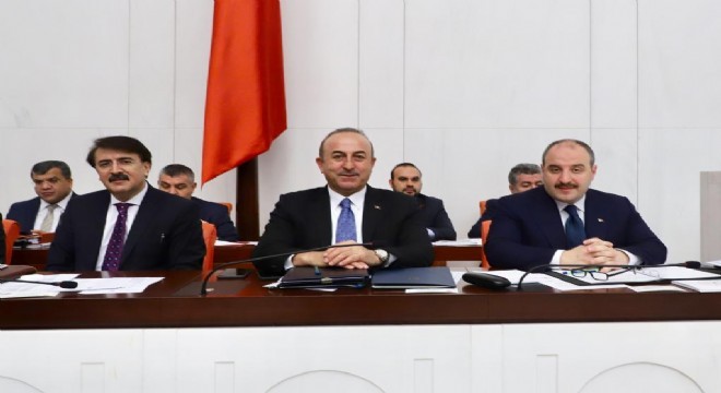 Çavuşoğlu: ‘Bir leş kargası varsa o da YPG/PKK dir’