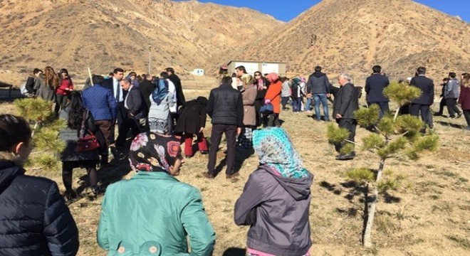 Öğretmenler için Hatıra Ormanı oluşturuldu