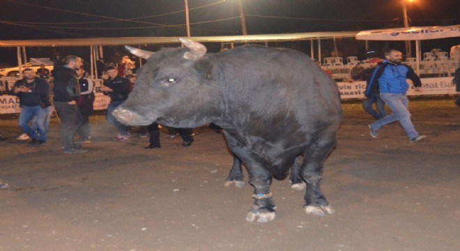 Şampiyon Erzurum’dan çıktı